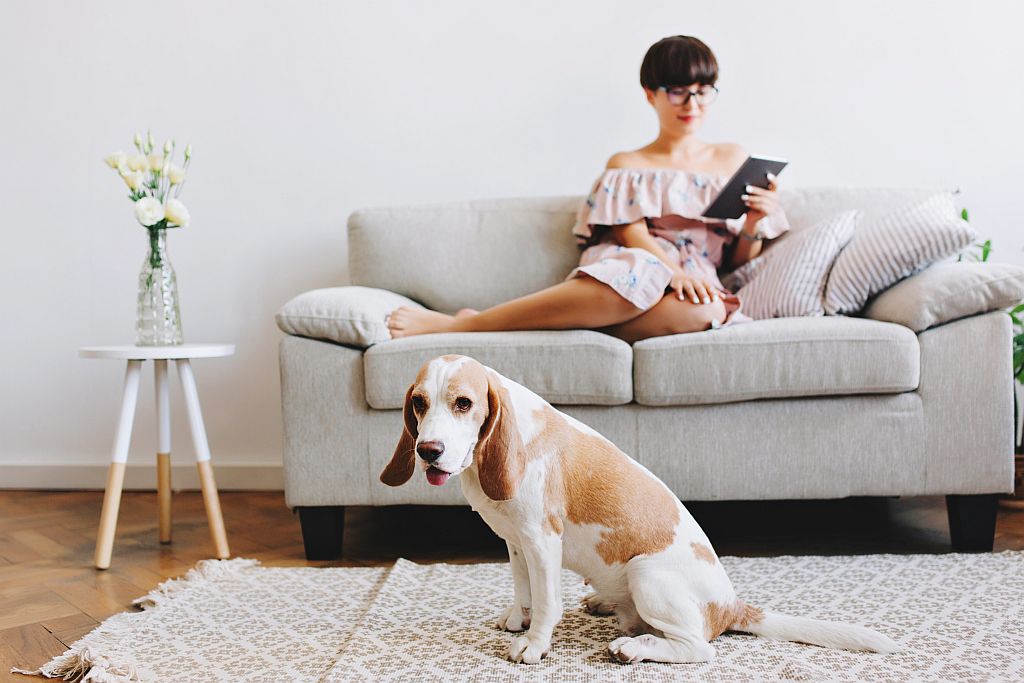 Девушка с собакой наслаждается комфортом в доме